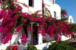 卡马利安娜传统公寓酒店的一座白色的建筑,上面有粉红色的花朵