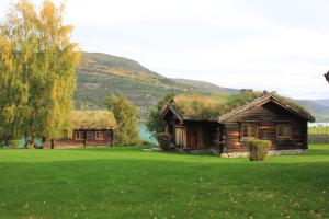 Storrvik斯通维克西咖德农家乐的绿色田野上带草屋顶的小木屋