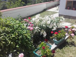 GurgulyatHotel Aleksievata Kashta的阳台上的鲜花和植物花园