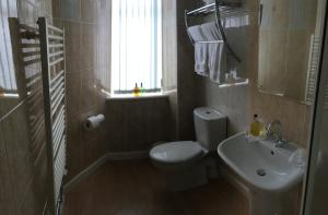 阿伯丁Arkaig Guest House的一间带卫生间、水槽和窗户的浴室