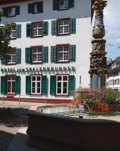 巴塞尔Spalenbrunnen Hotel & Restaurant Basel City Center的建筑物前方有喷泉的建筑物
