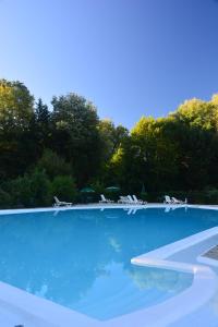 尚塞拉德艾唐雷纳酒店的一个带椅子和树木的大型蓝色游泳池