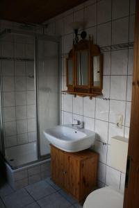 博尔滕哈根Zur alten Schmiede I (Mitte)的一间带水槽、淋浴和卫生间的浴室