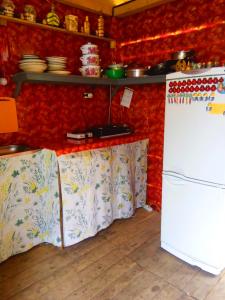 阿尔特巴什Turbaza Kedroviy bereg的厨房设有红色的墙壁和白色的冰箱
