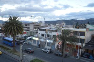 里奥班巴Hostal Alborada Riobamba的街道上满是汽车和棕榈树的城市