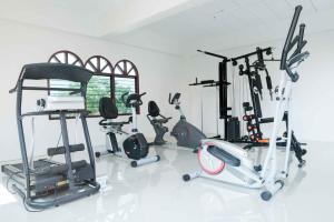 帕夭帕尧VC酒店的一间健身房,里面设有数个健身器材
