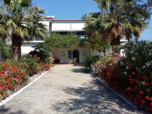 加拉希德松埃利亚旅馆的车道上种有棕榈树和鲜花的房子