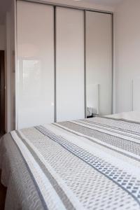 华沙莫克托夫多莫特尔公寓的玻璃墙客房的两张床