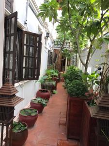 琅勃拉邦坎空美景旅馆的建筑一侧种有盆栽植物的庭院