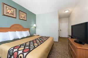 巴尔米拉巴尔米拉骑士汽车旅馆的配有一张床和一台平面电视的酒店客房