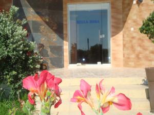 珊瑚湾Bella Rosa hotel Cyprus的建筑物前一个花瓶里两朵粉红色的花