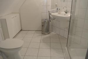 马斯特里赫特Aldenhof Appartementen的一间带卫生间和水槽的浴室