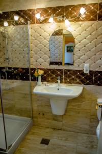 萨图马雷阿斯托利亚酒店的一间带水槽和淋浴的浴室