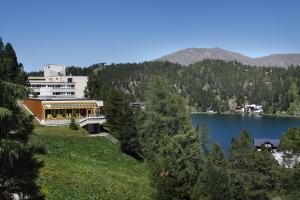 图拉彻霍赫Panorama Hotel Turracher Höhe的湖畔小山上的建筑