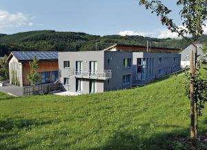 Lultzhausen鲁兹豪森青年旅馆的山丘上带绿地的房子