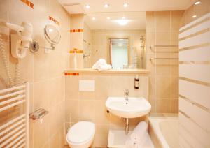 布莱德萨瓦服务度假酒店的浴室配有盥洗盆、卫生间和浴缸。