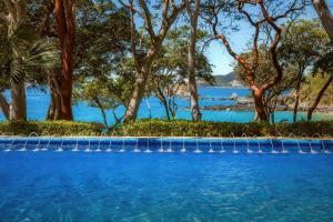 伊斯塔帕拉斯布里萨斯伊斯塔巴酒店的一座种有树木和水体的游泳池