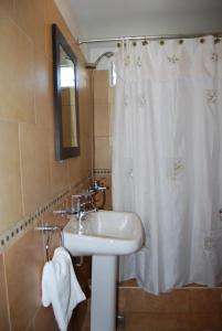 圣克莱门特雷图尤拉波萨达德达米安公寓式酒店的一间带水槽和淋浴帘的浴室