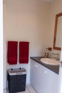 普利登堡湾Plett's Life的一间带红色毛巾和盥洗盆的浴室