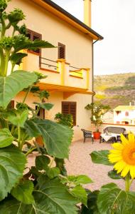 博萨Casa vacanze Sandalia的黄色的建筑,有长凳和向日葵