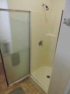 科洛阿Hale Pua Villa - Hibiscus Suite的带淋浴的浴室和玻璃门