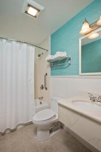 韦尔弗利特维尔弗里特汽车旅馆的浴室配有白色卫生间和盥洗盆。