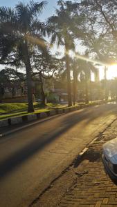 伊瓜苏Apartamento temporário Vila Yolanda的一条有车的街道,沿着一条树木繁茂的道路行驶