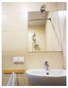 塔尔图蜃景旅馆的一间带水槽和镜子的浴室