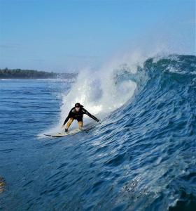 比哈尔Sumatra Surf Resort的海浪冲浪的人