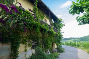 Zgornja KungotaTuristična kmetija Vrezner Apartment的相册照片