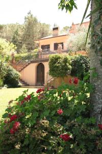 皮亚扎-阿尔梅里纳克莱门汀别墅 的带阳台的房子,在院子里种花