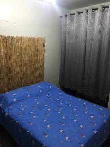 圣胡安Joe Apartment的一间卧室配有一张带蓝色床单和窗帘的床