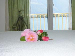 隆科索普拉阿斯科纳Casa Conti al Lago的床上一朵粉红色的花