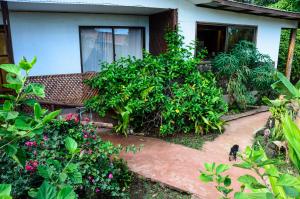 安加罗阿Cabañas MANA NUI INN的一只猫坐在植物丛中的房子前