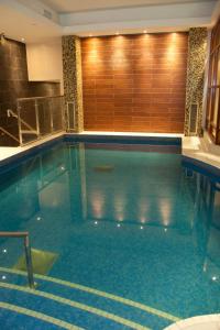 利默里克萨弗伊酒店的在酒店房间的一个大型游泳池