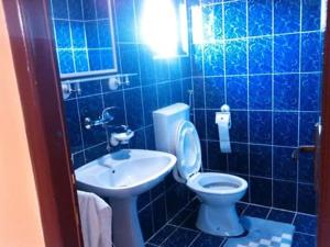 贝拉茨尔克瓦Guest house Ćane Smestaj的蓝色瓷砖浴室设有卫生间和水槽