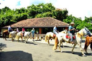 圣代佩德罗Hotel Fazenda Fonte Colina Verde的一群骑马的人在街上骑着马