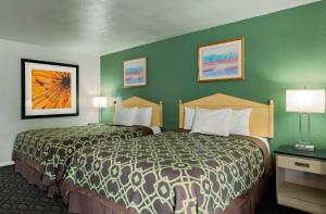 尤金市区旅馆的绿墙旅馆客房的两张床