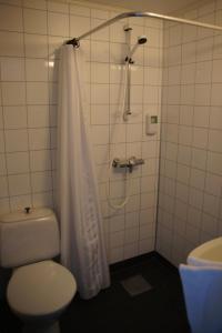 巴里斯川米缇恩斯酒店的带淋浴、卫生间和盥洗盆的浴室
