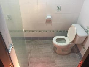 暖武里府TUB豪华酒店的一间带卫生间和淋浴的小浴室