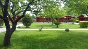 圣金Kompleksi Turistik Leonardo的绿色庭院公园中的房屋