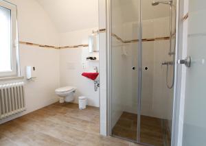 Liesenich莫赛尔洛格酒店的带淋浴和卫生间的浴室