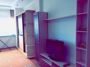 Amasing apartment on Dostyk 5 str的电视和/或娱乐中心