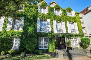 圣地亚哥梦想精品酒店的街道上被绿色常春藤覆盖的建筑