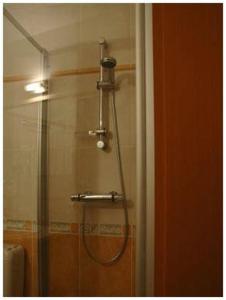 沙勒罗瓦南沙勒罗瓦机场酒店的带淋浴喷头的浴室
