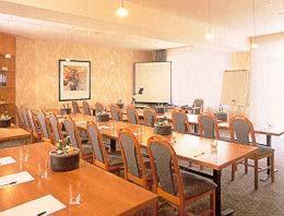 施韦特施彻韦德安德瑞森酒店的一间会议室,配有长桌子和椅子