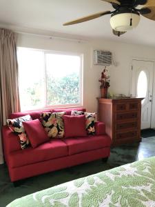 科洛阿黑尔普阿海滨一室公寓别墅的窗户房间里一张红色的沙发