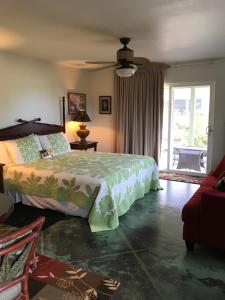 科洛阿黑尔普阿海滨一室公寓别墅的一间卧室配有一张床和吊扇
