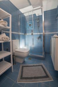 斯基罗斯岛Almyra Guesthouse的蓝色的浴室设有卫生间和淋浴。