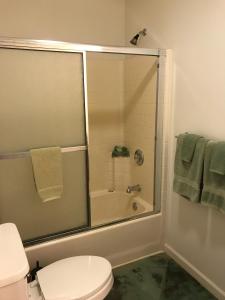科洛阿黑尔普阿海滨一室公寓别墅的带淋浴、卫生间和浴缸的浴室